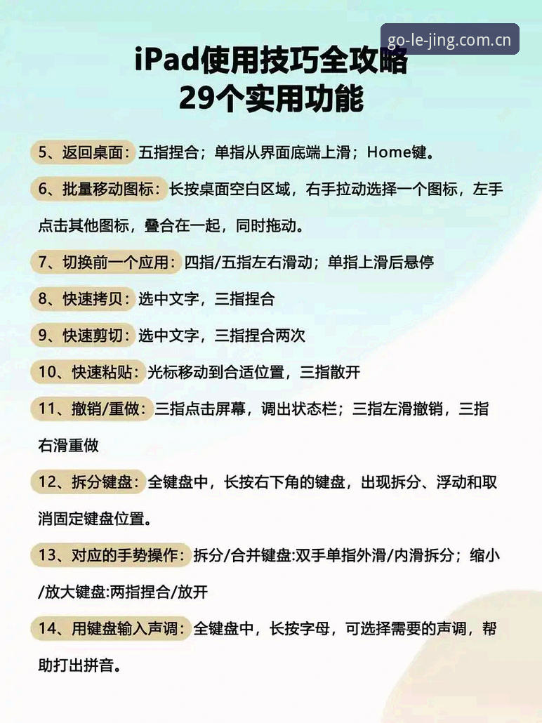 乐竞体育平台使用完整指南：从注册到进阶的全流程解析